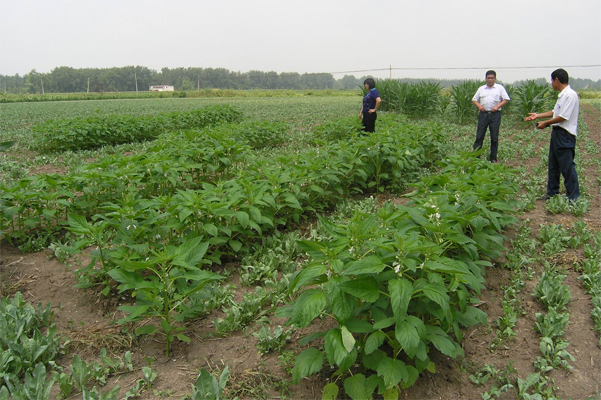 点击图片进入下一页